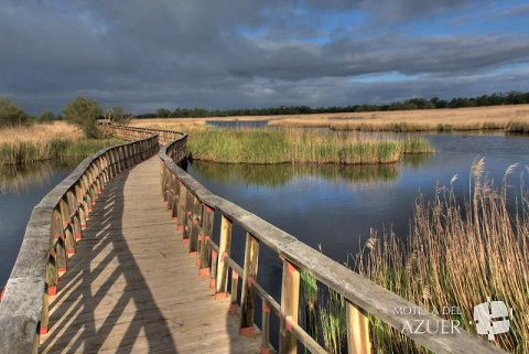 Tablas de Daimiel